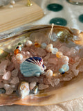 Seashell Dreams